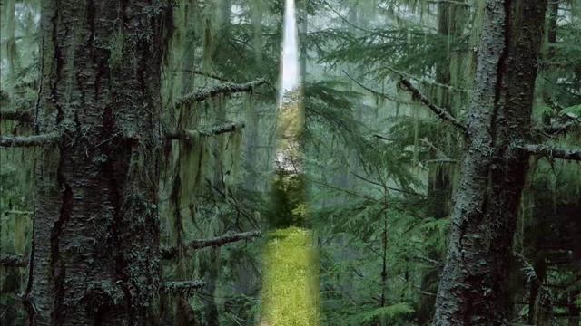 Образы природы в музыке П.И.Чайковского смотреть онлайн