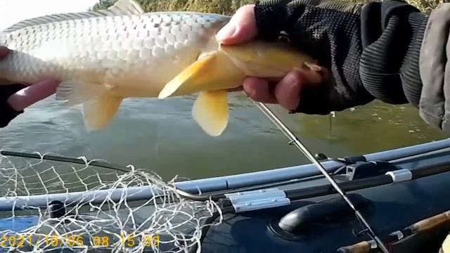 Астрахань с.вышка 6.10.2021 день третий ветер испортил рыбалку. смотреть онлайн