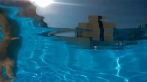 Пансионат "Шексна" СОЧИ. Всё включено!