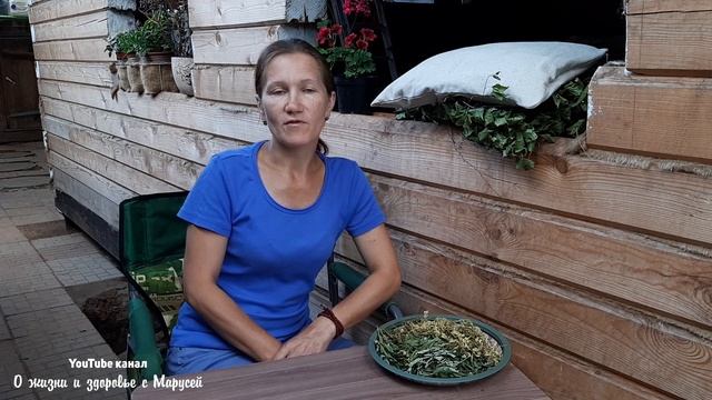 ТАВОЛГА ПОЧЕМУ НЕ ВСЕМ ПОДХОДИТ ЛАБАЗНИК ЛЕЧЕБНЫЕ СВОЙСТВА смотреть онлайн