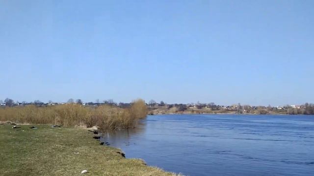 Бронное, у реки Днепр 2017 год. смотреть онлайн