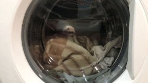 Режим «ШЕРСТЬ»Стиральная машина LG