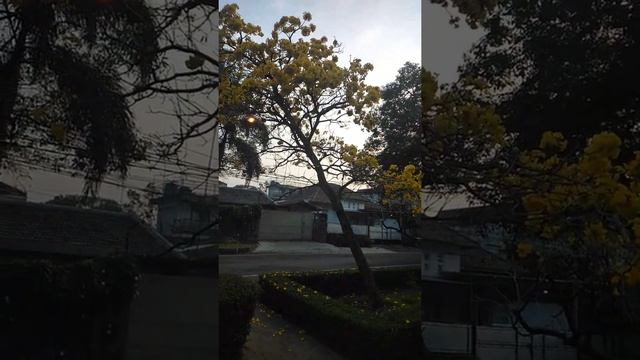Matahari di Hati смотреть онлайн
