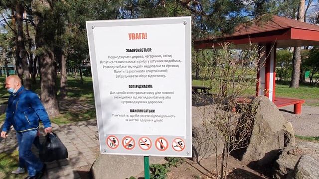 Киев, парк им. Киото. Цветение сакуры в 2020 году - 27.04.2020 смотреть онлайн