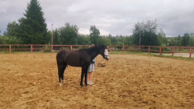 Чаки учит команды смотреть онлайн