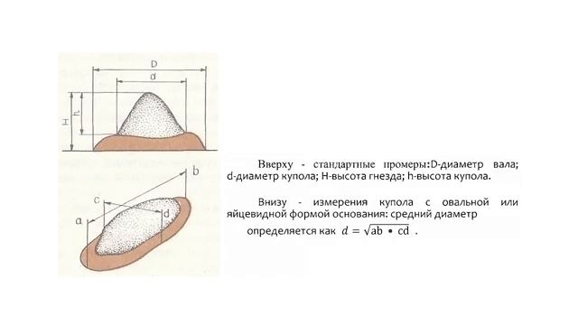 Г.М. Длусский, "ЗНАКОМЬТЕСЬ - МУРАВЬИ!", ч. 3 смотреть онлайн