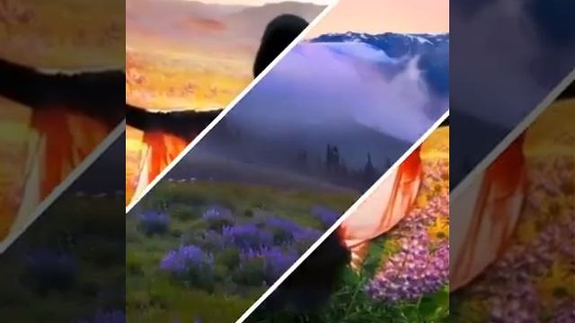 25 октября 2022 г. смотреть онлайн