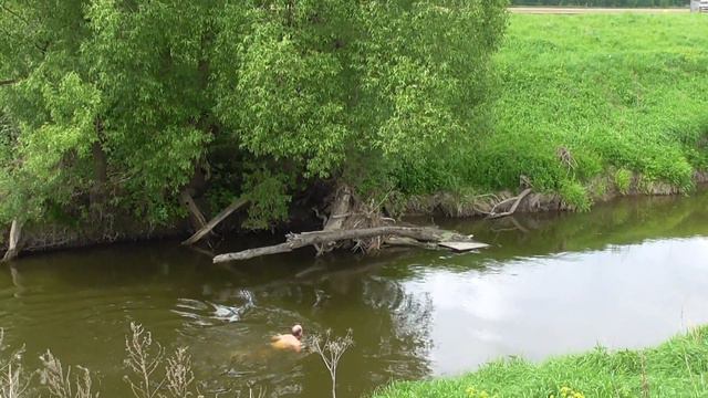 Весна-2019, ч.4. В мае на разных водоёмах смотреть онлайн