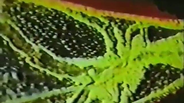 Лимфа человека смотреть онлайн