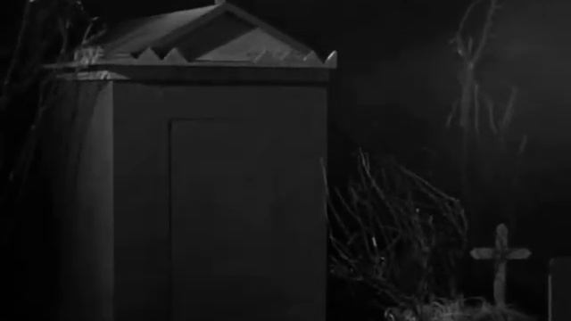 S-Cro : Back to black смотреть онлайн