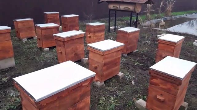 Какие лучше улья? Деревяные или ППУ? смотреть онлайн