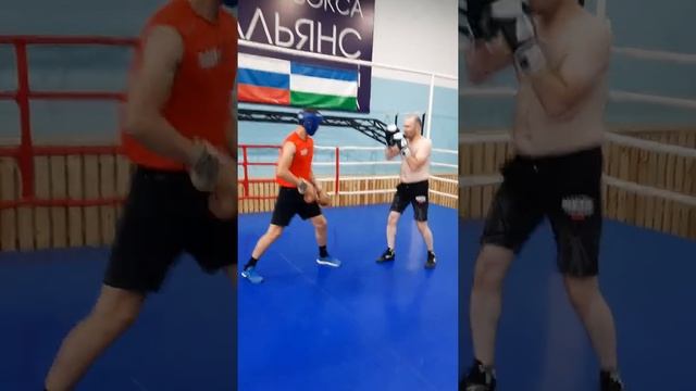 боксер новичок вырубает мастера спорта по боксу смотреть онлайн