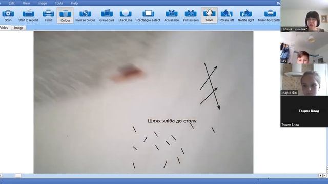 Укр мова 20 05 23 смотреть онлайн