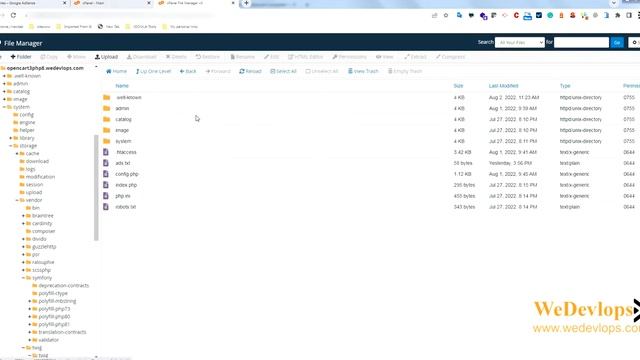 How to insert google adsense in Opencart for subdomain and main domain смотреть онлайн