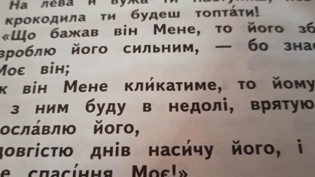КИЕВСКАЯ ОБЛАСТЬ🌄 Киев сейчас ПРИЕХАЛИ В ВИТАЧЕВ🏞️ Роскошный вид на Днепр смотреть онлайн