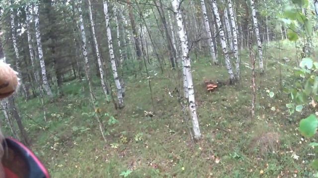 Экстимальное путешествие по омской области смотреть онлайн