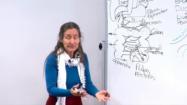 Barbara O'Neill - Part 14: Remedying Digestive Problems