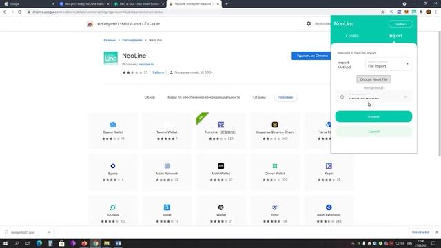 Как Создать, Настроить и Использовать Neo Кошелек NeoLine на Платформе Windows и Android