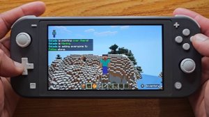 Minecraft Nintendo Switch Lite Gameplay