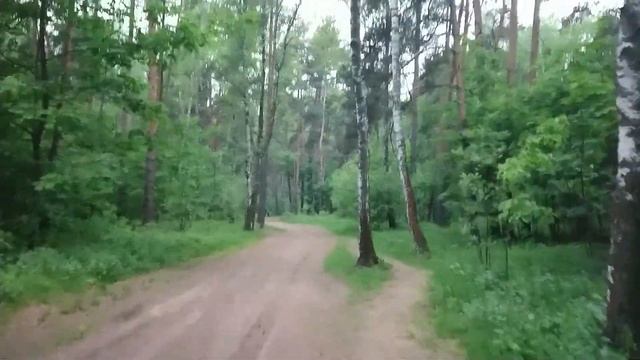 Парк жулебино смотреть онлайн