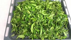 Ферментация чайного листа.