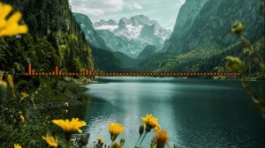 Джамиля Мамакова - Скажи что делать 2024