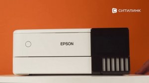 Обзор струйного МФУ Epson L8160 | Ситилинк
