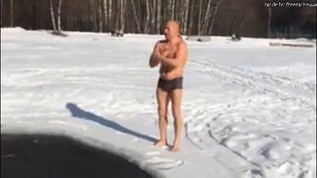 Моржи на белоснежном пляже смотреть онлайн