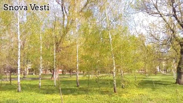 Белгород, 29 апреля 2018 года, весна пришла, наконец-то... смотреть онлайн