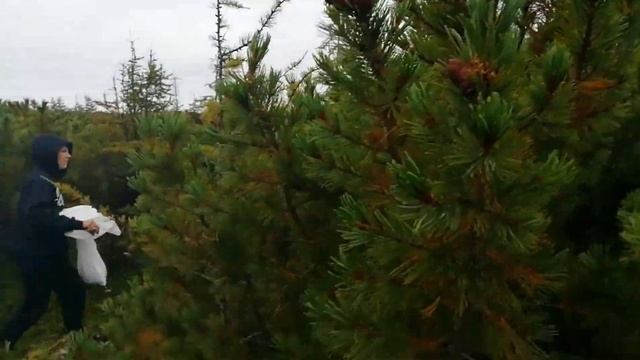 Рыбалка в Магадане смотреть онлайн