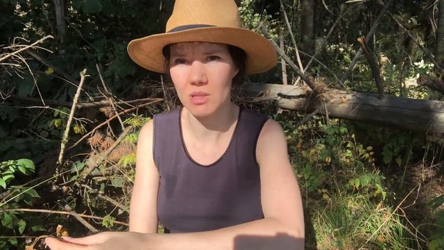Если вы решили стать художником. смотреть онлайн