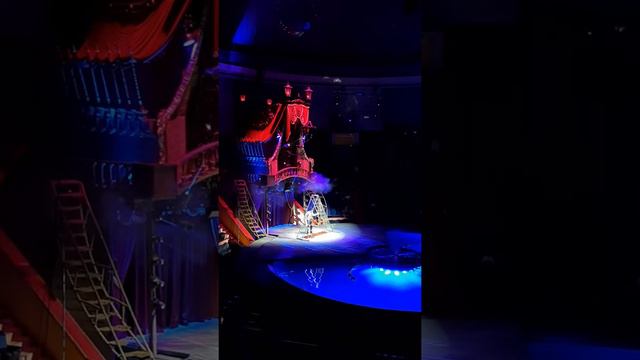 Цирк Сочи Цирк на воде смотреть онлайн