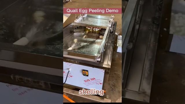 Say Hello to Eruis Quail Egg Peeling Equipment смотреть онлайн