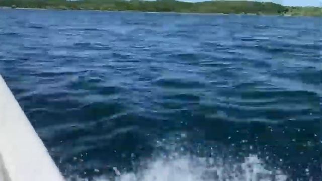 Заплыв на 7 км Плещеево Озеро, 5 июня, Проплыл 2 км, Температура воды 13 градусов смотреть онлайн