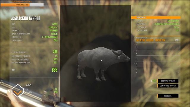 theHunter Call of the Wild #8 СТРИМ ? - Парк Фернандо - Трофейная Охота (Часть 2) смотреть онлайн