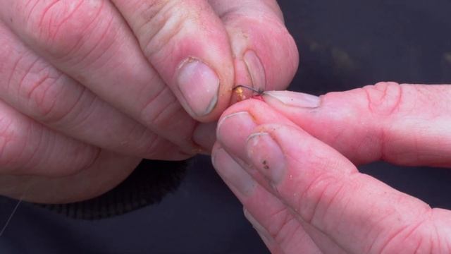 Варианты насадки опарыша на крючок смотреть онлайн