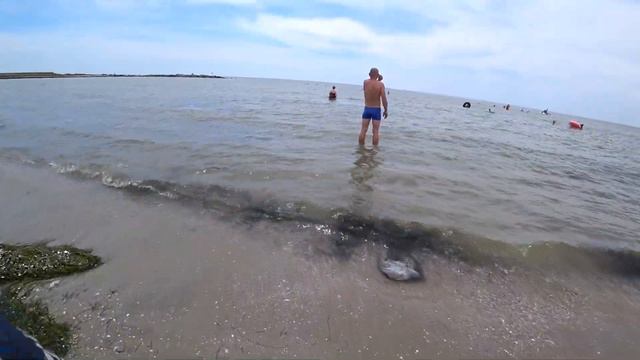 Бердянск 2020. АКЗ, Удивительный пляж "Малибу" смотреть онлайн