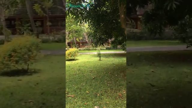 Maldives отпуск, акулы ? в океане. смотреть онлайн