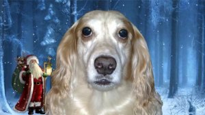 В лесу родилась ёлочка