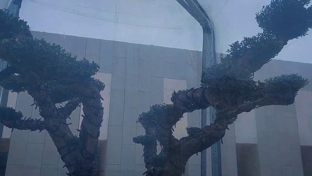 Краснодар магазин футбольного клуба «Краснодар»улица Восточно-Кругликовская, 10А. смотреть онлайн