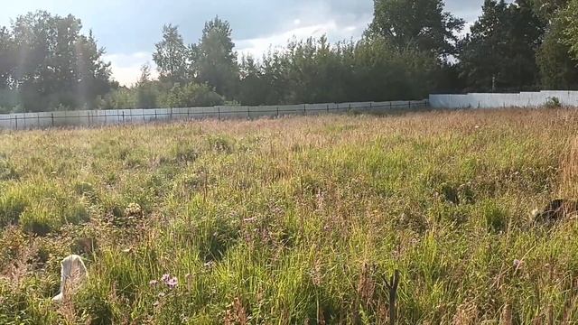 26.07.23. какие на фиг Таити? смотреть онлайн