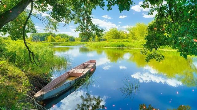 Невероятная красивая музыка Нежной любви! Хочется слушать снова и снова! Лучшая музыка С Чекалина смотреть онлайн