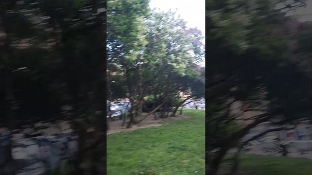 Санкт-Петербург 2022. Площадь у Казанского вокзала смотреть онлайн