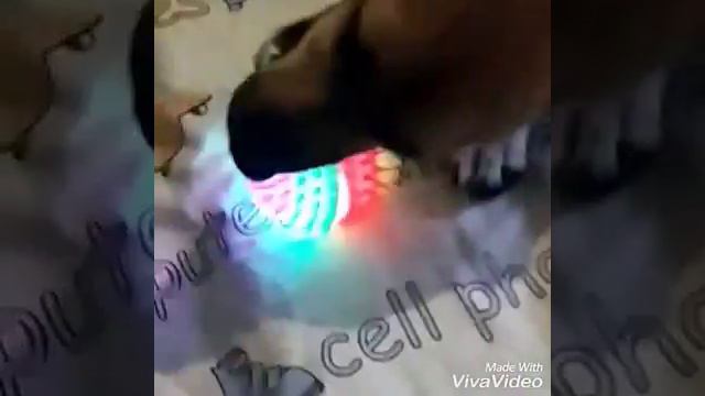 Рассказываю о моих домашних животных!!! смотреть онлайн