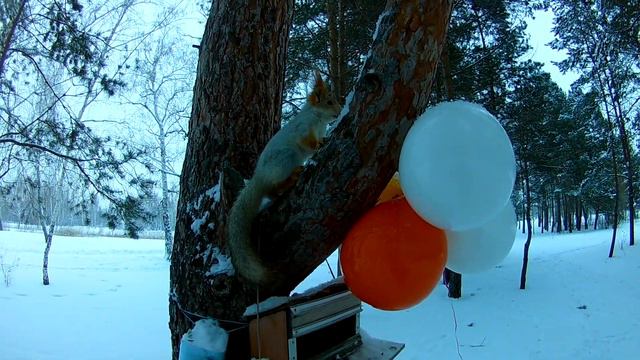 С Рождеством Христовым! смотреть онлайн