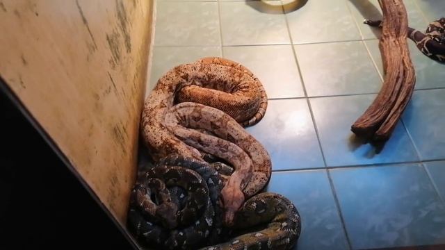 Моя поездка в Пермь. смотреть онлайн