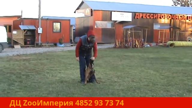 Жесть на разминке смотреть онлайн