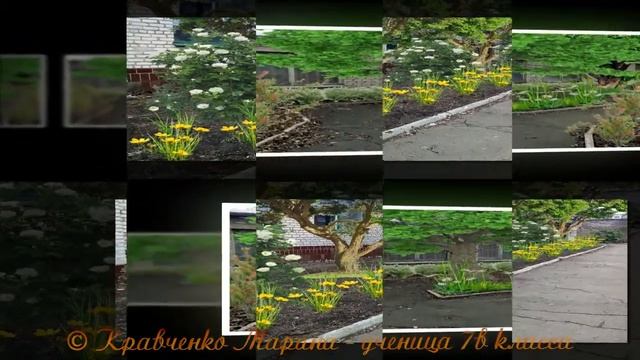 Презентация "Озеленение" смотреть онлайн
