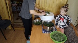 Готовлю хвойный чай.