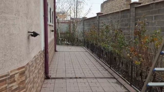 СВАРЩИКТЕР любой ИШТИ жасайт экен | Дарбаза, Топчан, Гүлтосмо, Рещетка смотреть онлайн